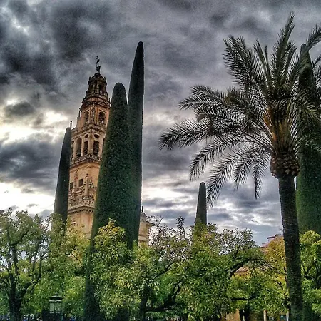 Rosmarinus Centro
