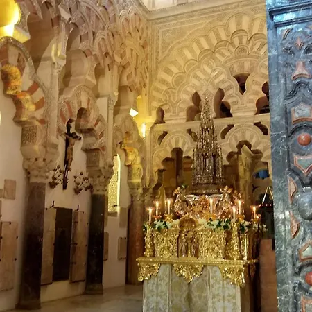 Rosmarinus Centro * Cordoba