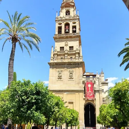 Rosmarinus Centro *